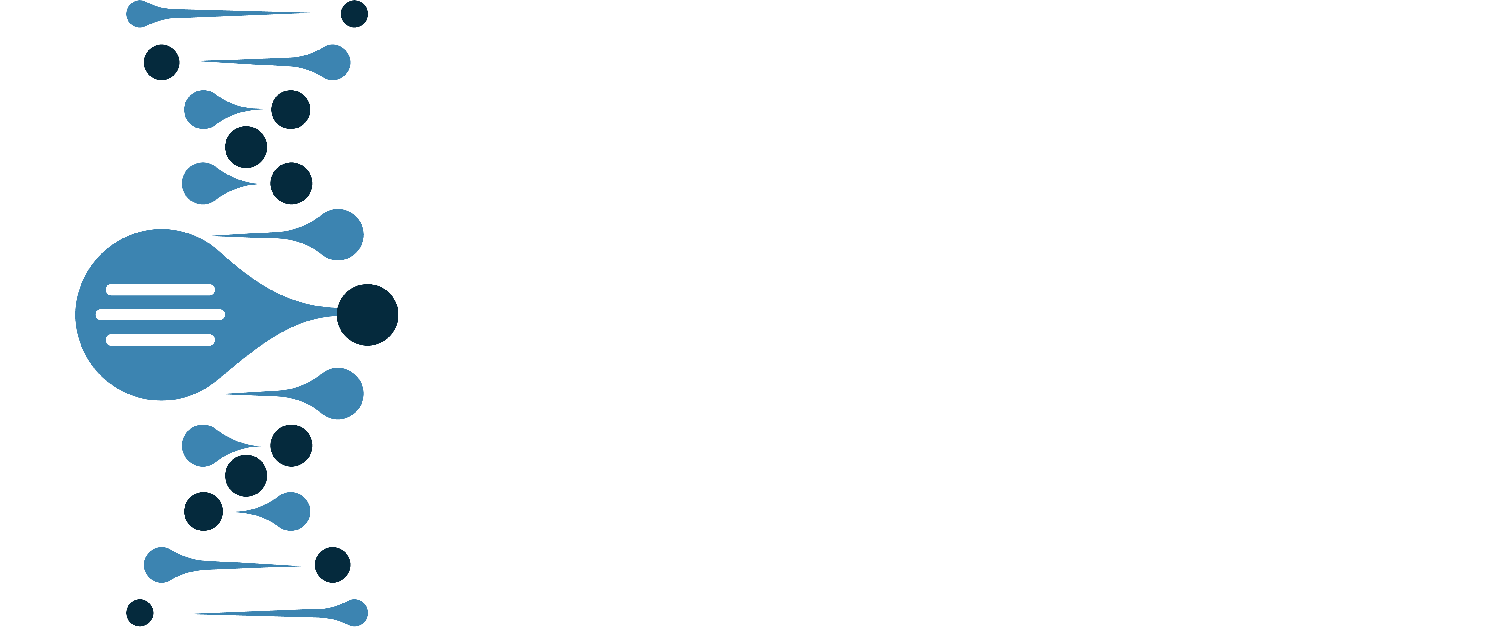 horizontal/color_with_text/dailies-notes-assistant-horizontal-color_with_text.png